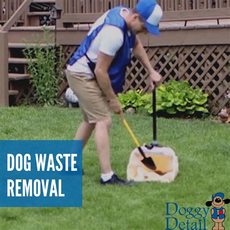 Dog Waste Removal in the San Anselmo Area.